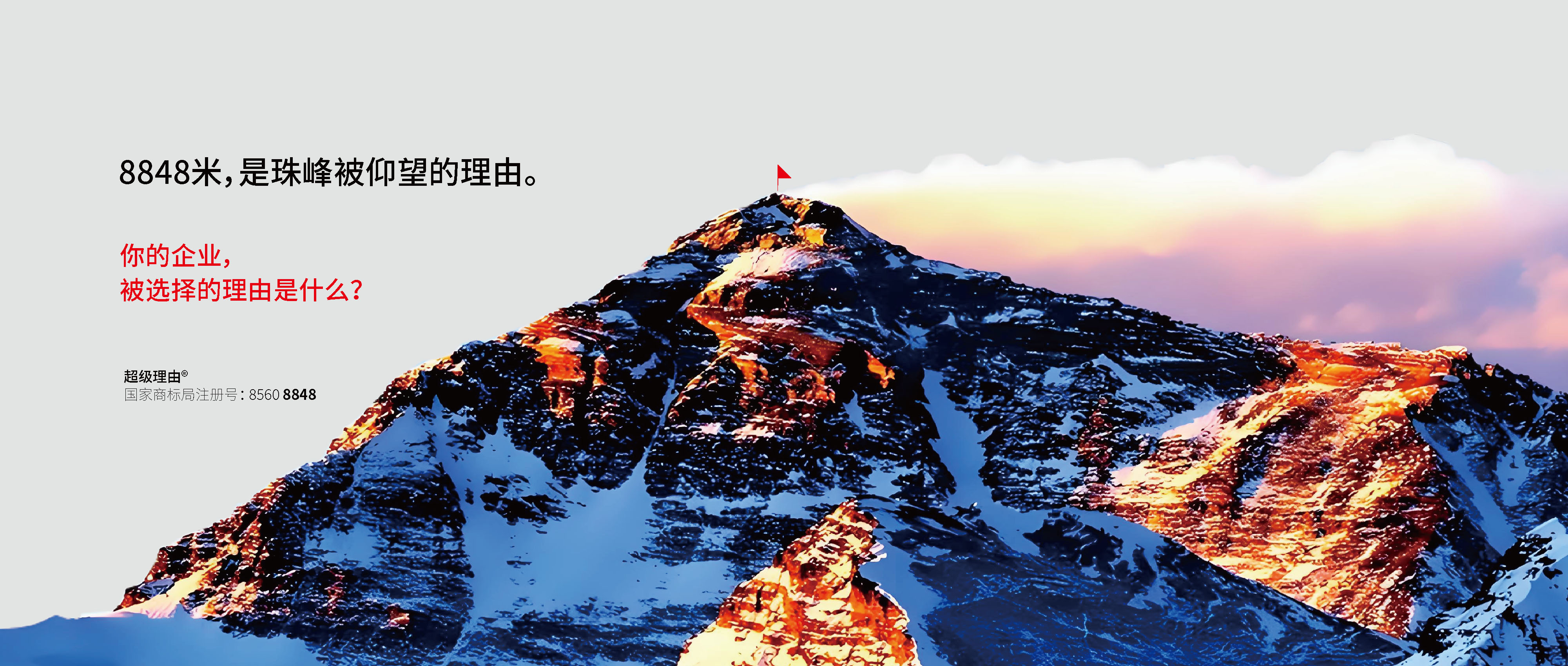 选你的理由是什么?