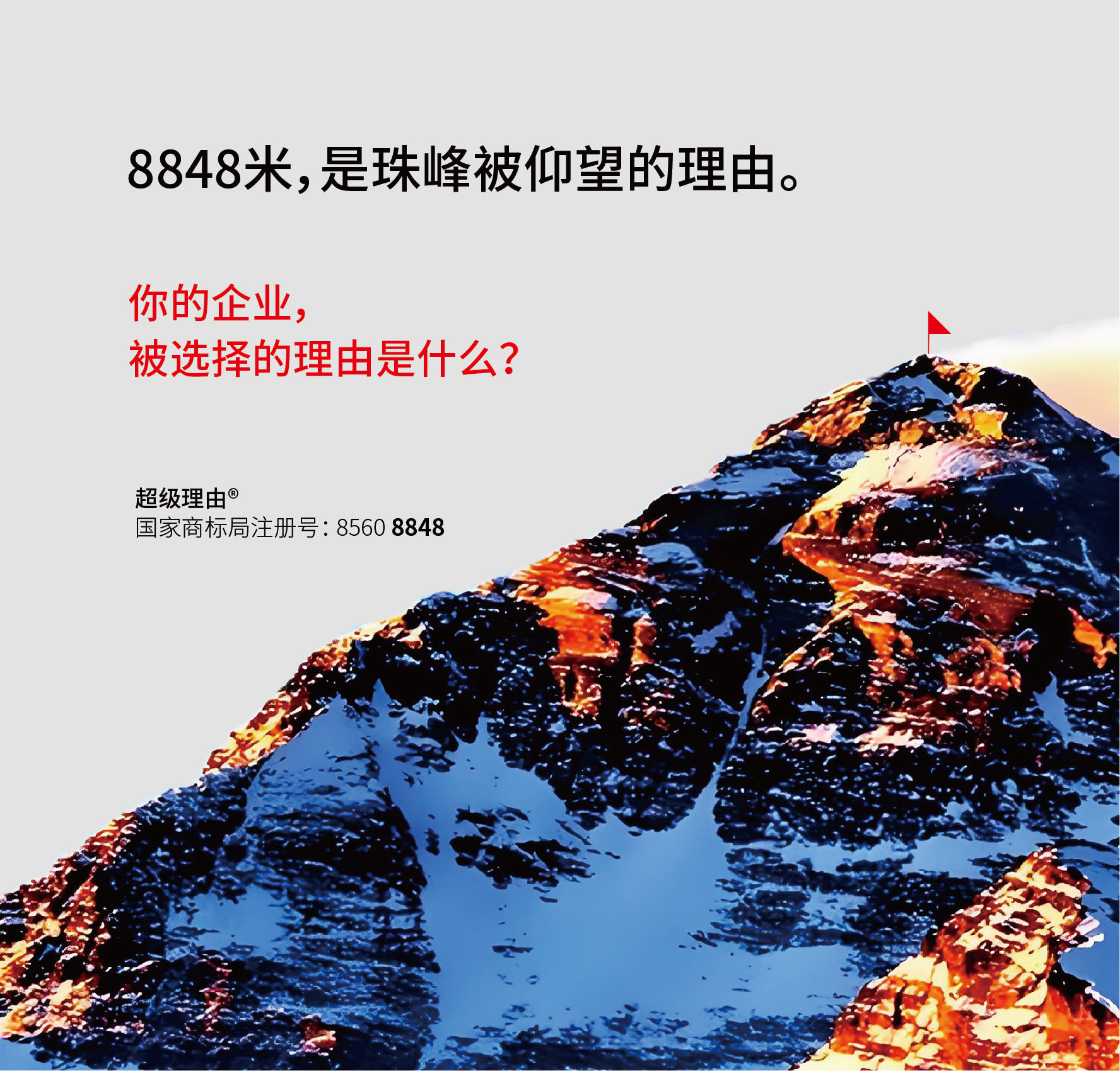 选你的理由是什么?
